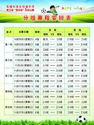 泰山队下半赛季依木兰重回赛场 球迷期待他的精彩表现