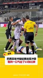 世界杯的魅力：马宁与李现共同见证文明交流的足球盛会